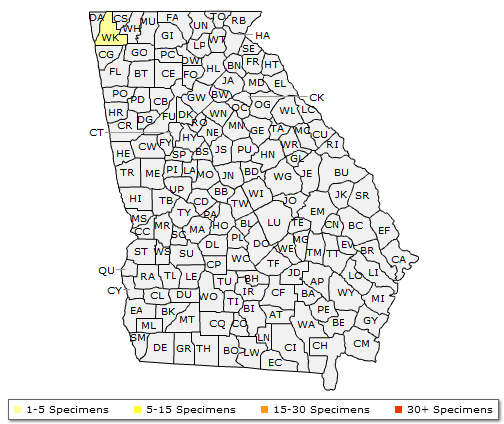 The native range of Aesculus glabra